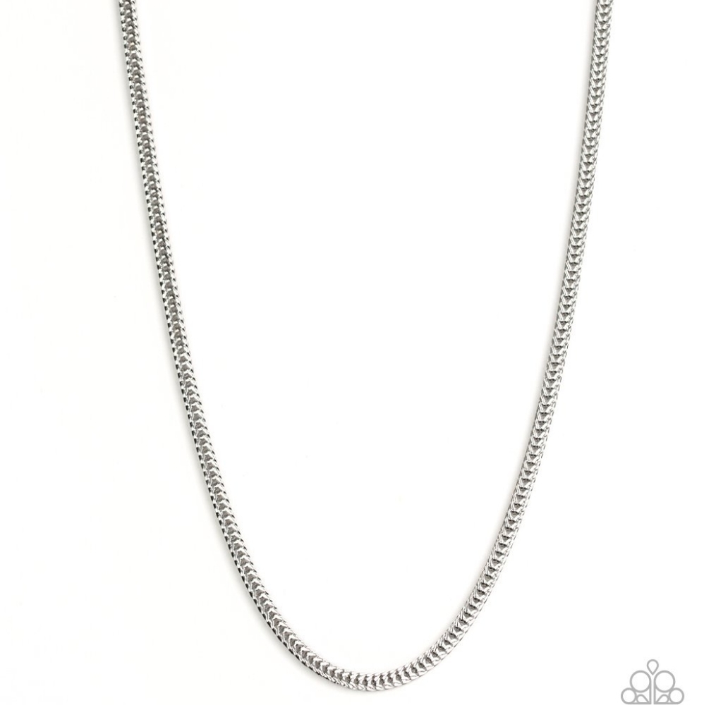Paparazzi urban necklace